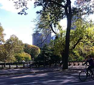 Central Park
