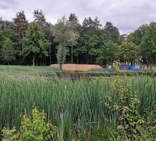 Seewoog in Ramstein-Miesenbach