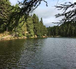 Wandern Turracher Höhe