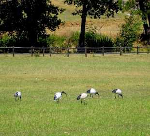 Wanderweg, Verkostung und Shopping