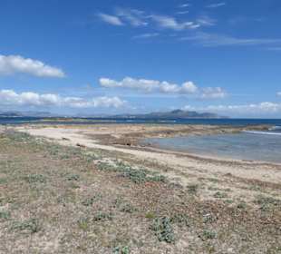 Strand vor den Dunes de Son Real