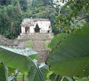 Kompleks Palenque