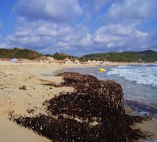 Gay Beach - Las Salinas