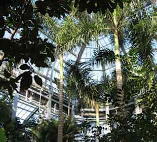 United States Botanic Garden in Washington D.C.