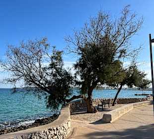 Strandpromenade Cala Millor