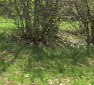 Naturreservat Beutenlay