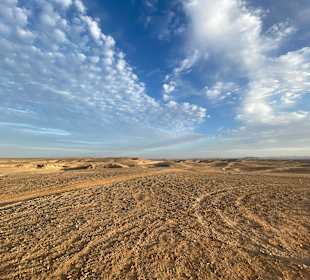Quad Tour Marsa Alam