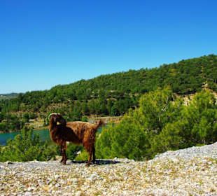 Green Canyon vom Staudamm nach Side