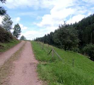 Wandern Schenkenzell