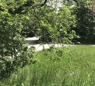 Burg Wäscherschloss