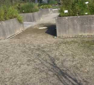Schmuckhof Botanischer Garten