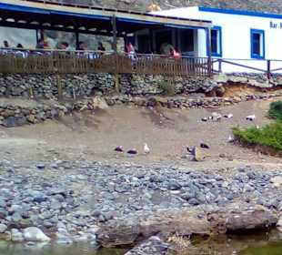 Casa Pon in Los Molinos