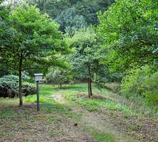 Impressionen aus dem Arboretum Wildeshausen
