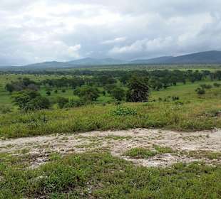 Sarova Salt Lick Game Lodge