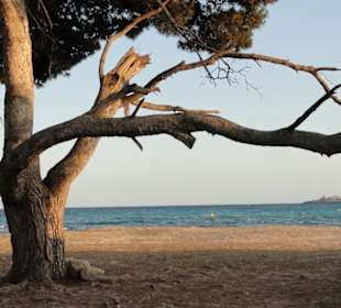 Natur pur