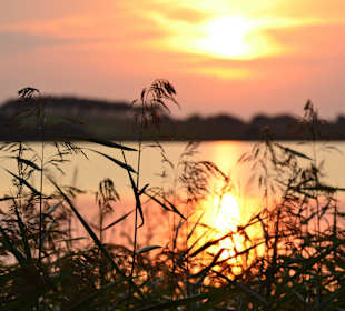 Abendstimmung am Achterhafen Ückeritz
