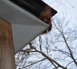 Freilichtmuseum Skansen