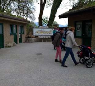 Eurasienbereich - Steinbockeingang