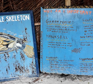 Mnarani Marine Schildkröten Conservation