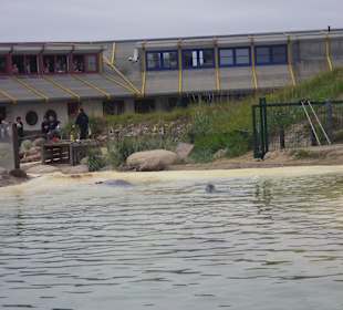 Vorführung - Fütterung