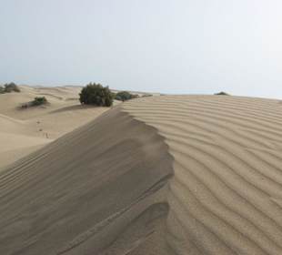 Dünen von Maspalomas
