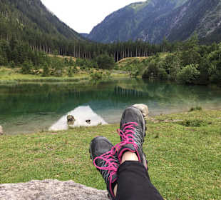Wandern Wald im Pinzgau