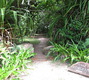 Hier geht's zur Anse Georgette