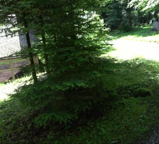 Waldfriedhof Altensteig