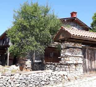 Ali's Ausflüge Avsallar