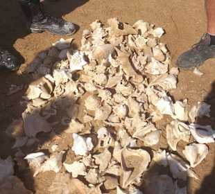 Fahrradausflug in die Wüste