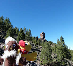 Wir kmmen dem Ziel näher