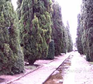 Bot. Garten