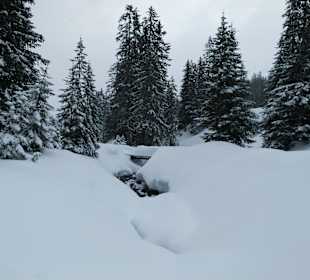 Verschneite Bergwelt