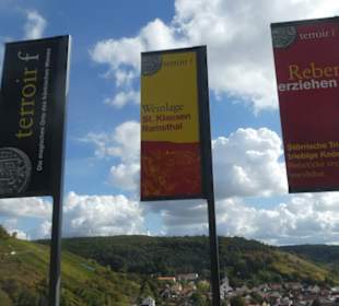 Beim terroir f (oberhalb von Ramsthal)