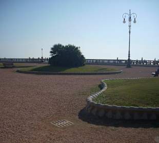 Terrazza mascagni livorno