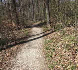 Waldsportpfad im Wasenwald