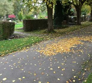 Hauptfriedhof Friedrichshafen