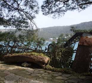 Wie auf dem Bauernhof