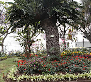 Park in Funchal