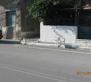 Die Katzen sonnen sich