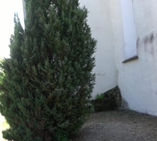 Römisch-katholische Pfarrkirche St. Martin