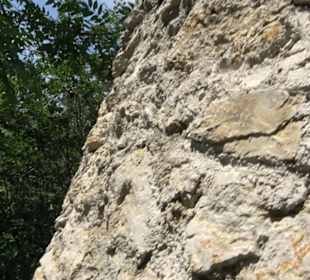 Burgruine Niederhaus