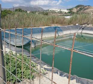 Inselrundfahrt Kreta