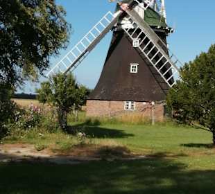 Wandern Prerow