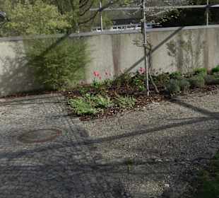 Friedhof Blaubeuren