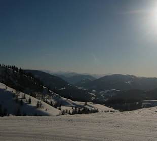 Zwieselalm