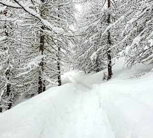 Wandern Sulden