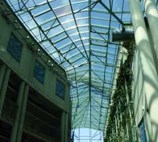 Universitätsbibliothek – im Eingangsbereich