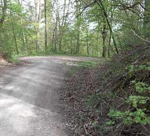 Walderlebnisweg Rottenburg