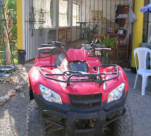 Quadsafari
